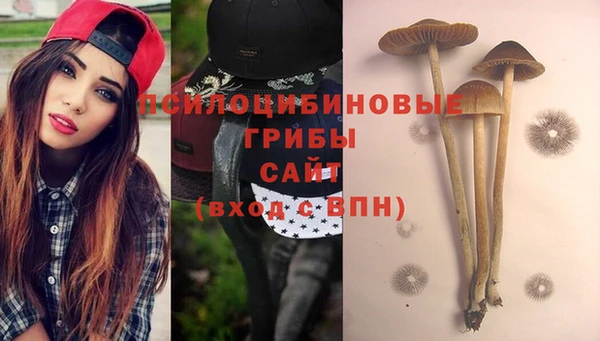 PSILOCYBIN Абдулино